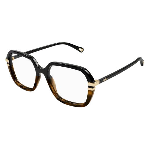 CHLOE CH0205O 003 — Vue principale